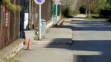 Bartın Denizciler Gazinosu