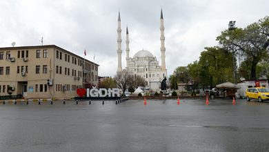 igdir